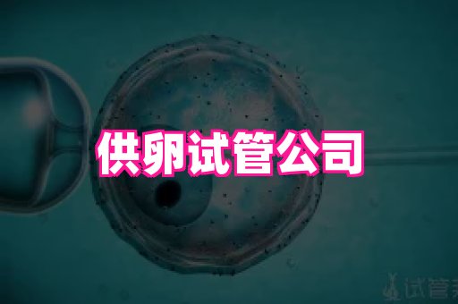 123试管孕网 4